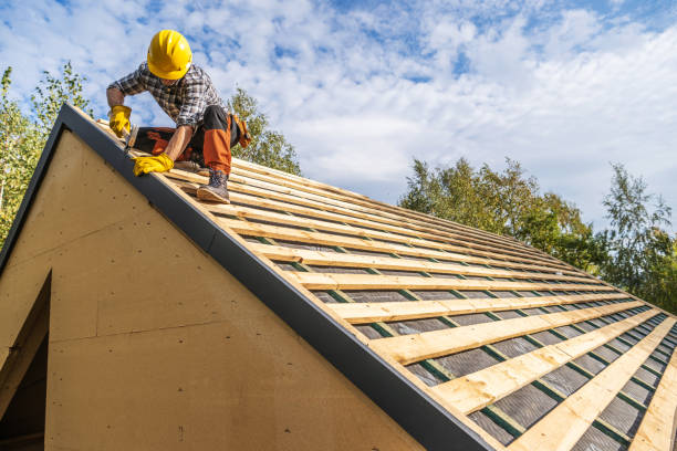 Best Roof Gutter Cleaning  in Overton, TX